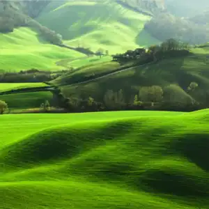 Tranh Dán Tường Cao Cấp