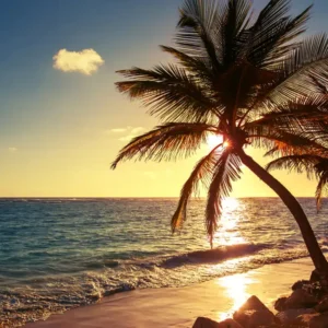 Tranh Dán Tường Phong Cảnh Bãi Biển, Hoàng Hôn Và Cây Dừa